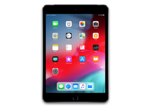 iPad mini 5 (WiFi)