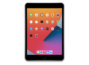 iPad (5th generation) (WiFi)