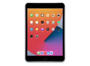 iPad 9.7" 5th Gen (Wi-Fi Only)